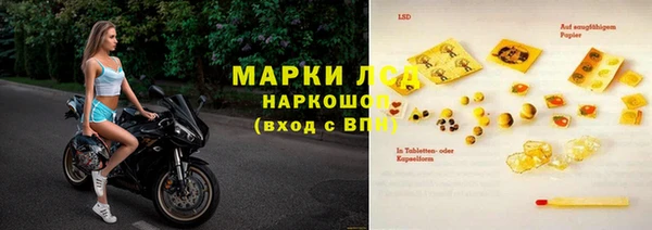 ПСИЛОЦИБИНОВЫЕ ГРИБЫ Алзамай