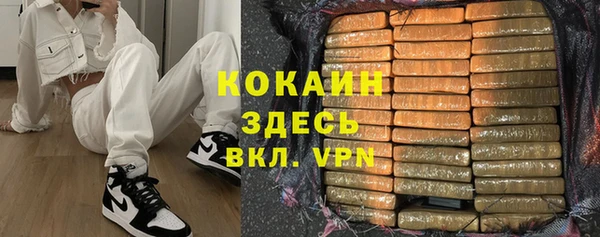 apvp Алексин