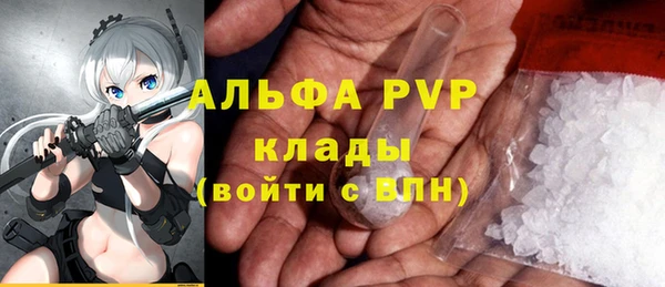 apvp Алексин