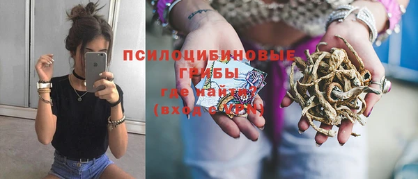 ПСИЛОЦИБИНОВЫЕ ГРИБЫ Алзамай