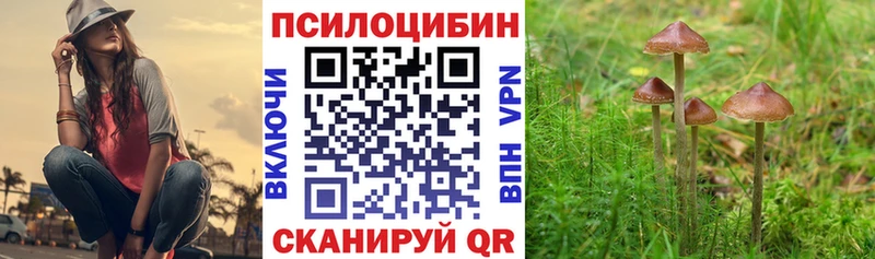 закладка  Петровск-Забайкальский  Псилоцибиновые грибы Magic Shrooms 